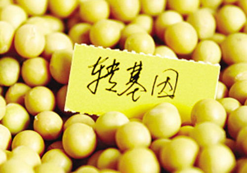 真相了！一文搞懂轉(zhuǎn)基因食品與日用品的檢測(cè)方法